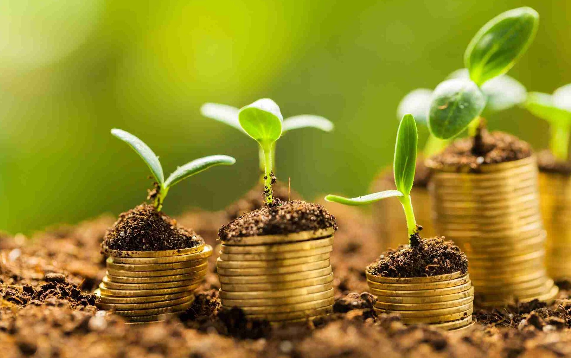 Mercado de Capitais se torna a principal alternativa ao Crédito Rural tradicional na safra 2026